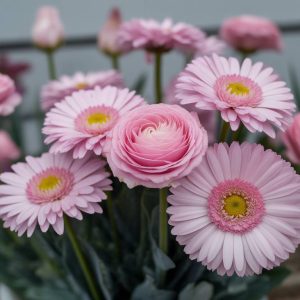Offrir des fleurs : la signification des fleurs pour transmettre le bon message à une femme