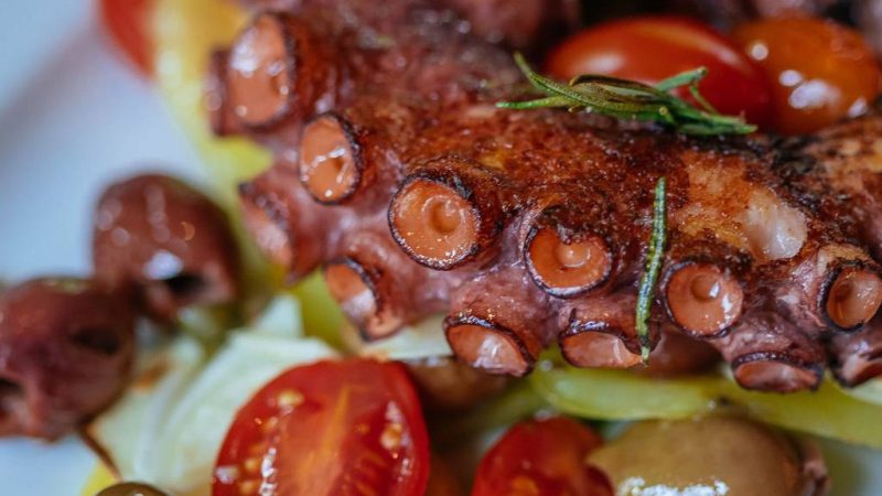Sant armettu vin et gastronomie : accords, conseils et inspirations